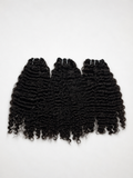 Raw Burmese Curly